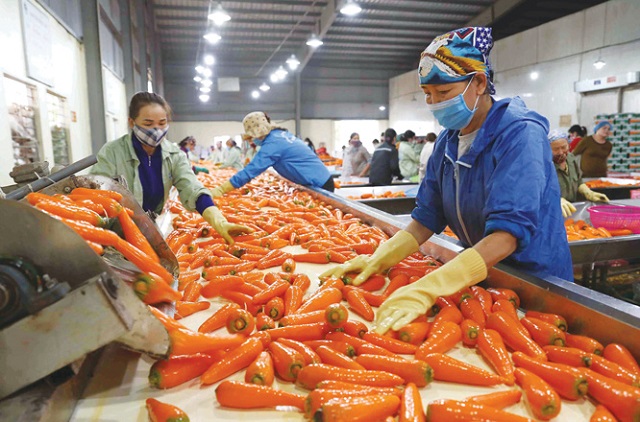 Phát triển thị trường Nhật Bản cho xuất khẩu nông sản Việt